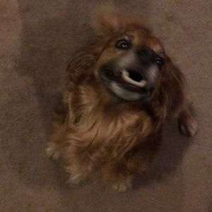 Meet your Posher, Fumi